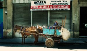 Man resting in horse drawn cart, Montevideo, Uruguay.